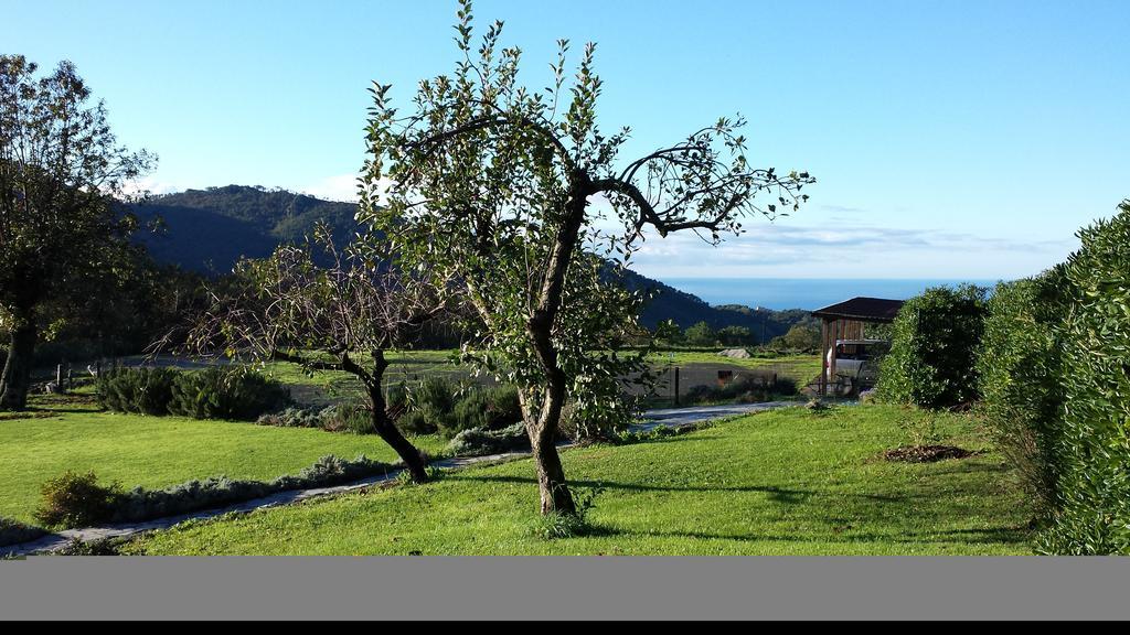 Sostio A Levante Framura Bagian luar foto