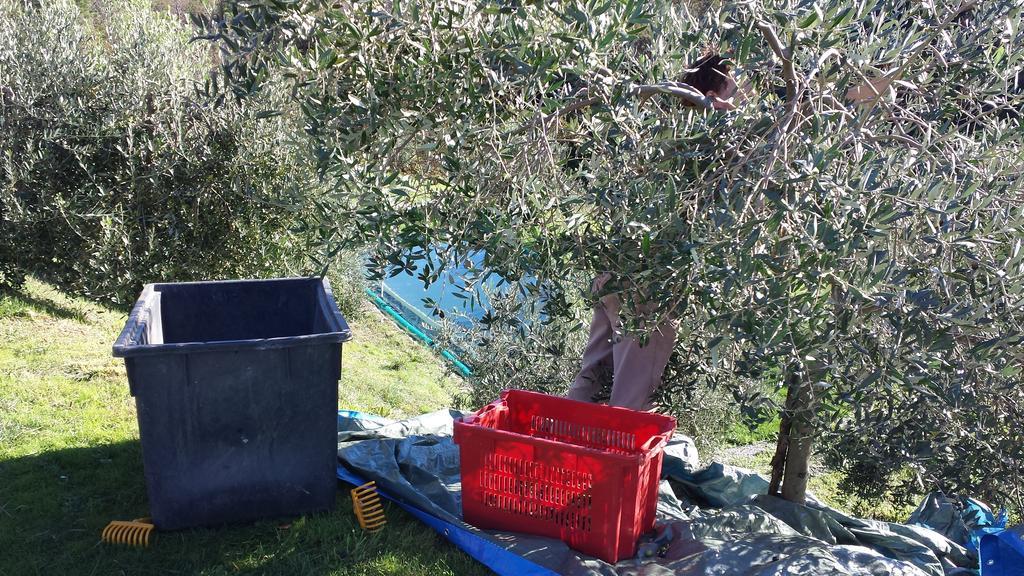 Sostio A Levante Framura Bagian luar foto